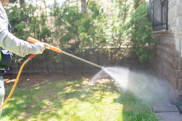 Professional Pest Control in Nowthen, MN